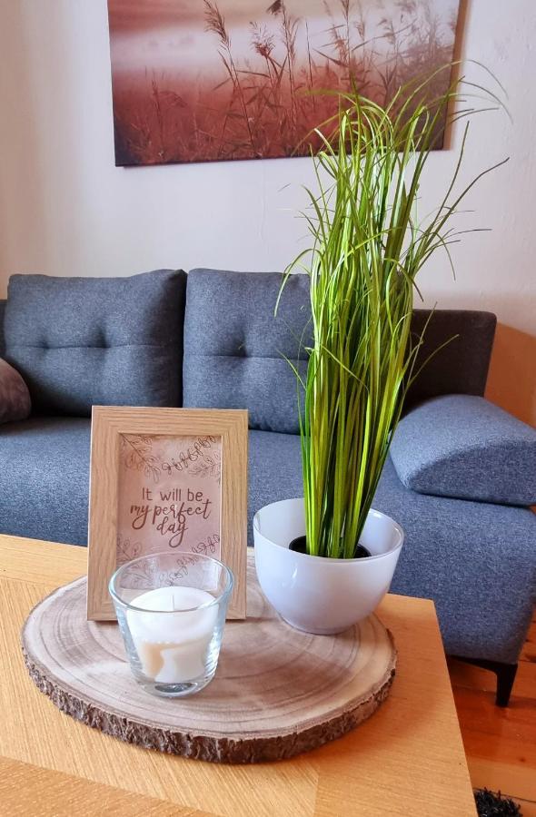 Apartma Metka Bovec Dış mekan fotoğraf