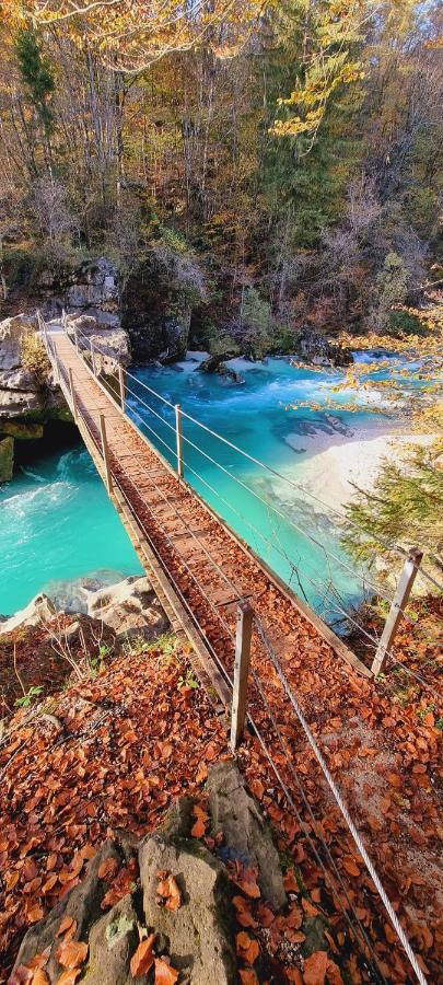 Apartma Metka Bovec Dış mekan fotoğraf
