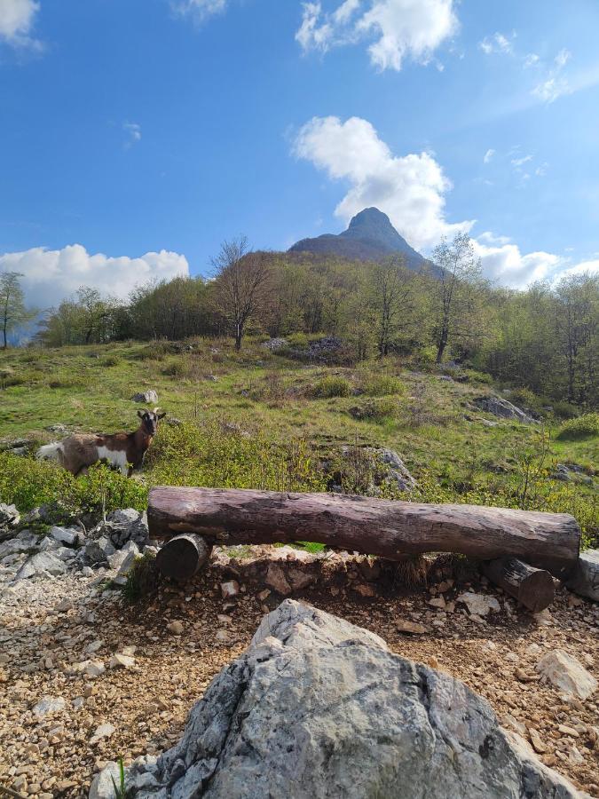 Apartma Metka Bovec Dış mekan fotoğraf